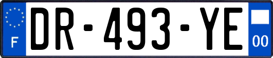 DR-493-YE