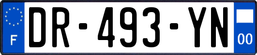 DR-493-YN