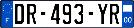 DR-493-YR