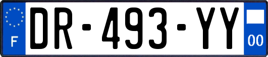 DR-493-YY