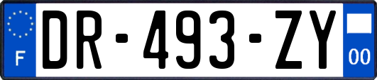 DR-493-ZY