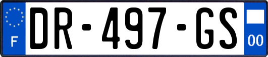 DR-497-GS