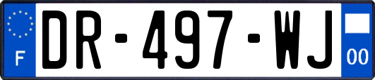 DR-497-WJ