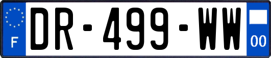 DR-499-WW