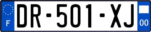 DR-501-XJ