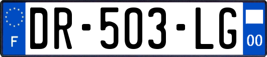 DR-503-LG