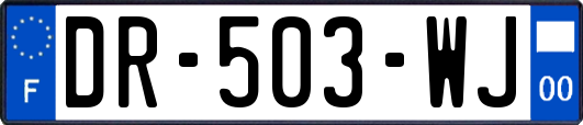 DR-503-WJ