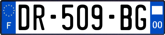 DR-509-BG