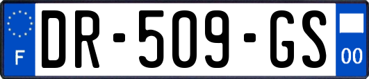 DR-509-GS