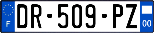 DR-509-PZ