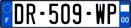 DR-509-WP