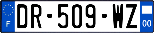 DR-509-WZ