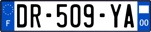 DR-509-YA