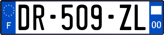 DR-509-ZL