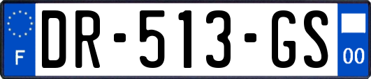 DR-513-GS