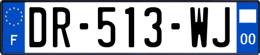 DR-513-WJ