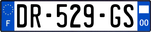 DR-529-GS