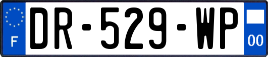 DR-529-WP