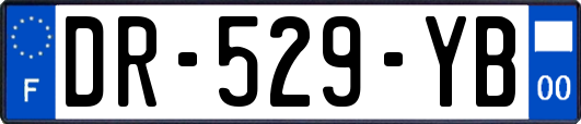 DR-529-YB