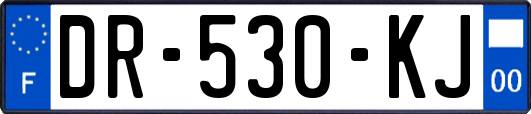 DR-530-KJ