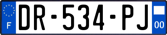 DR-534-PJ