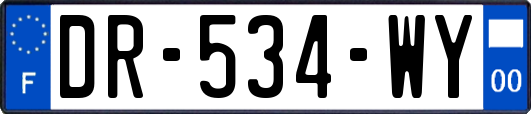 DR-534-WY