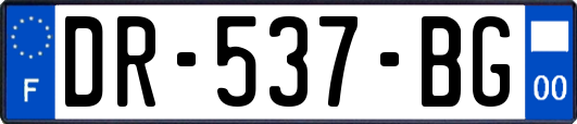 DR-537-BG