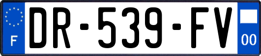 DR-539-FV