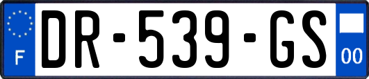DR-539-GS