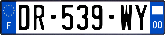 DR-539-WY