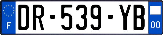DR-539-YB