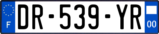 DR-539-YR