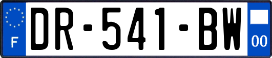 DR-541-BW