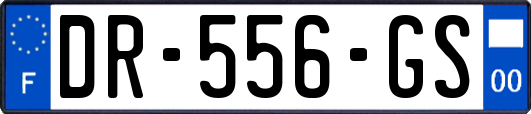 DR-556-GS