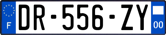 DR-556-ZY