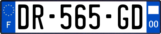 DR-565-GD