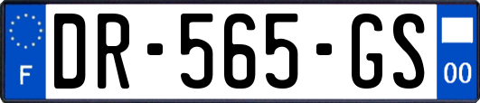 DR-565-GS