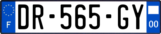 DR-565-GY