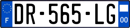 DR-565-LG