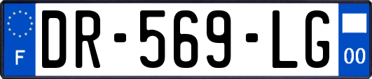 DR-569-LG