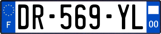 DR-569-YL