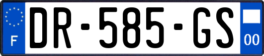 DR-585-GS