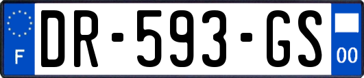 DR-593-GS