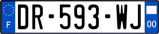 DR-593-WJ