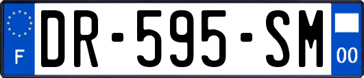 DR-595-SM