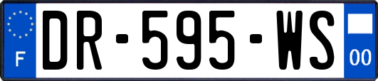 DR-595-WS