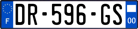 DR-596-GS
