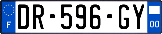 DR-596-GY