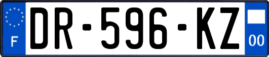 DR-596-KZ
