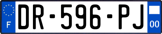 DR-596-PJ